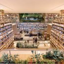 마곡스타약국 이미지