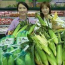 웰빙유통