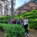 샬롬목장 이미지