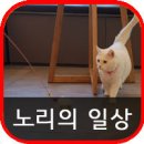 24시 쓰담쓰담 동물메디컬센터 이미지