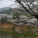 울산컨트리클럽 이미지