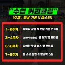 판교풋살클럽