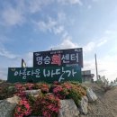 GR(해남군)-[명량로]-상-43 | 진도 회백반 명승회센터 후기