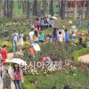 장미공원 이미지