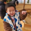 경원농장 | 용인무럭무럭농장/체험농장/ 무럭무럭농장 / 실내체험농장