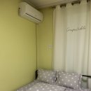 낭만 홍'S 이미지