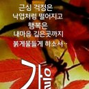 단풍이 물들기 시작하면서...!! 이미지