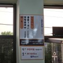 우미정 | [순천 콩국수]면 무한리필 되는 우미정, 리모델링 후 첫 방문 솔직후기