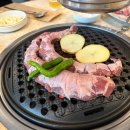 새벽왕김밥도시락 이미지