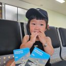 성산등용로 | 제주 성산여행 아기랑 우도잠수함 이색체험 후기!