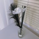 아로망ARoman 이미지