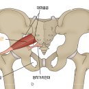 왕조걸한방병원 이미지