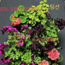 하일농원