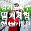 향아농원 이미지