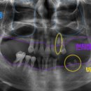 범어도담치과의원 이미지