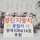 영진자동차공업사 이미지