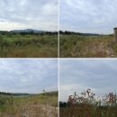 연천학곡리적석총 네이버블로그