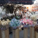 건펫 | 2020년 1월 케이캣페어 사냥 후기! (feat. 내 통장...)