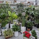 율하농장 이미지