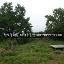 청도촌집 매물 주말주택 한제미나리동내 377평 [청도주택24]청도부동산 이미지