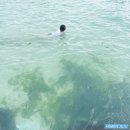 월정온누리약국 | 제주도 바다 | 월정리해수욕장 샤워장 | 가격 | 후기 | 계좌이체 | 코난비치