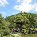 보길윤선도원림 이미지