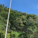 용인대석사비전태권도 이미지