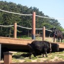 해상농장 이미지