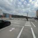 미플 이미지