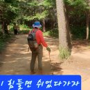 선학산 티스토리