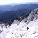 지리산 이미지