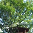 거창펜션 이미지