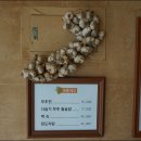 기양초