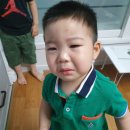 스낵앤아이스 네이버블로그