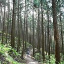 새터목장 이미지