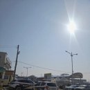 강릉경찰서 | 강릉 배낚시 후기, 경민호에서 대구 잡고 온 리얼 후기 (전동릴 있어서 초보도 가능)