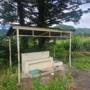 하장초등학교 이미지