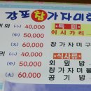 감포참가자미 Daum카페