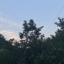 복전연쇄점 네이버블로그