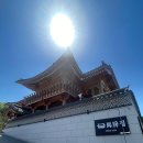 엄미길 티스토리
