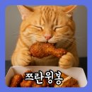 60계 신상 치킨 쯔란윙봉 후기, 조합 진짜...대박. 할인 받는 꿀팁