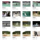 양태극권 이미지