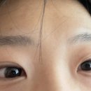 참불닭 이미지