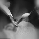 태산동물병원 이미지