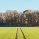 고려종합비료 이미지