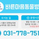 함께하는 동물병원 이미지