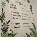 신촌마을길 | 116. 신촌 방탈출 꽃길 [ 가암성당 ] 클레버타운 테스터 솔직후기 : 공포 이머시브형 방탈출