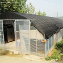여주꿀벌농원 네이버블로그