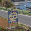 꽃마루 | 남해 꽃마루수국농원 수국체험 후기 아이와 함께한 특별한 하루