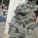 황암로 Daum카페